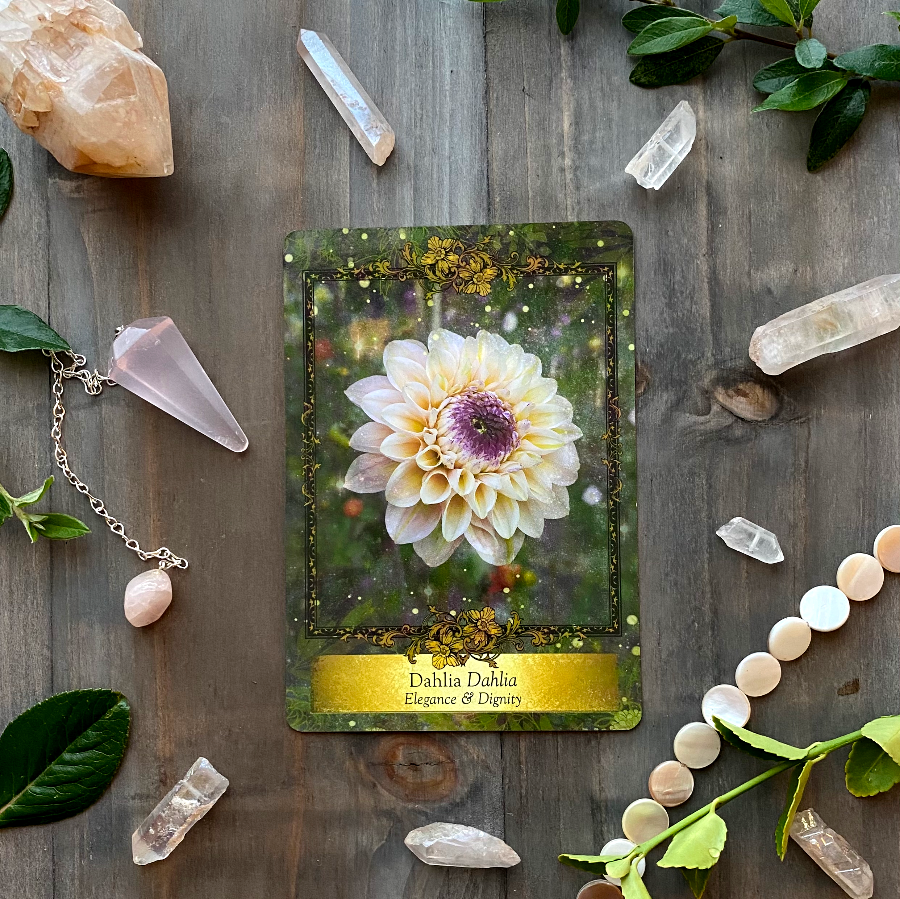 Dahlia — Work in harmony with Nature