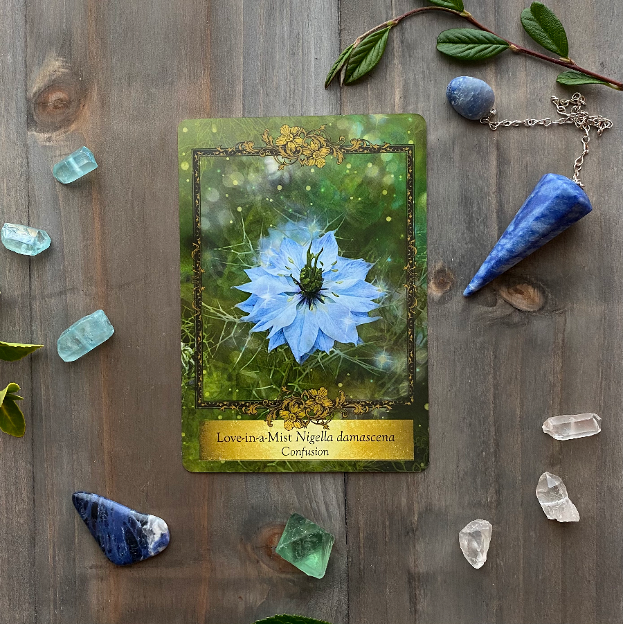 Love in a Mist (Nigella) — You hold the answers within your soul