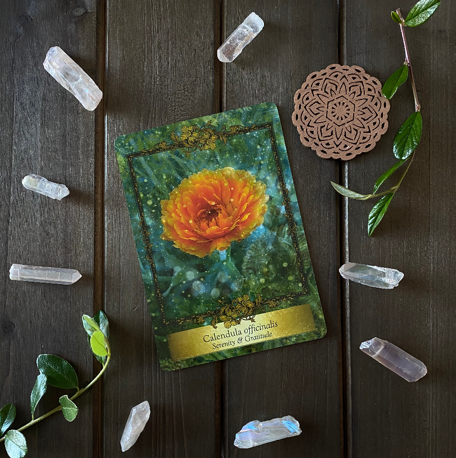 Calendula — Be the light