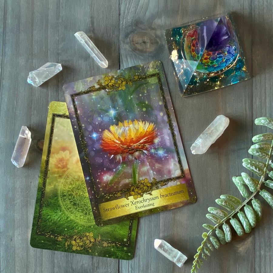Strawflower — Listen deeply