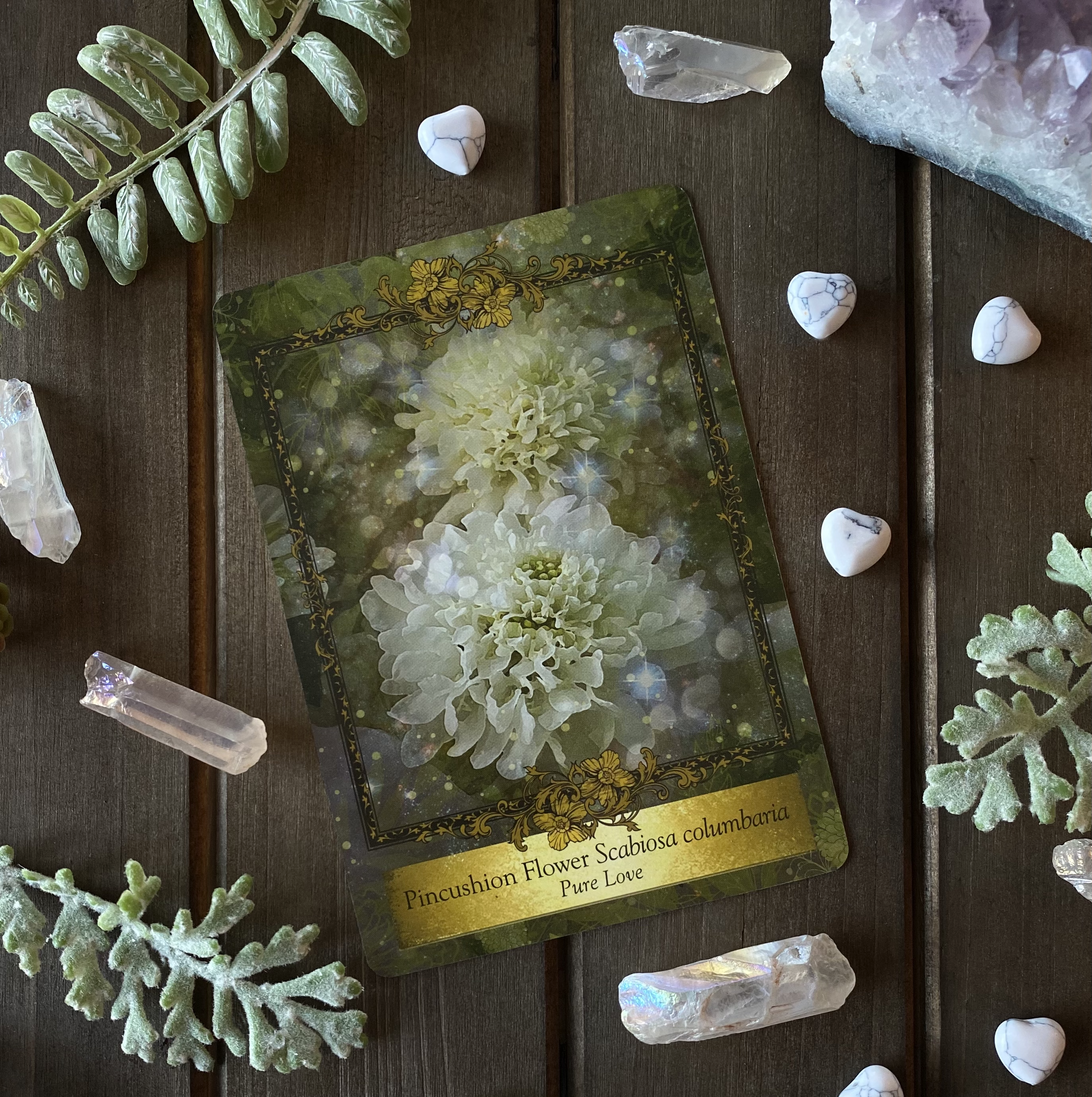 Pincushion Flower Organic Tee — The answer is Love