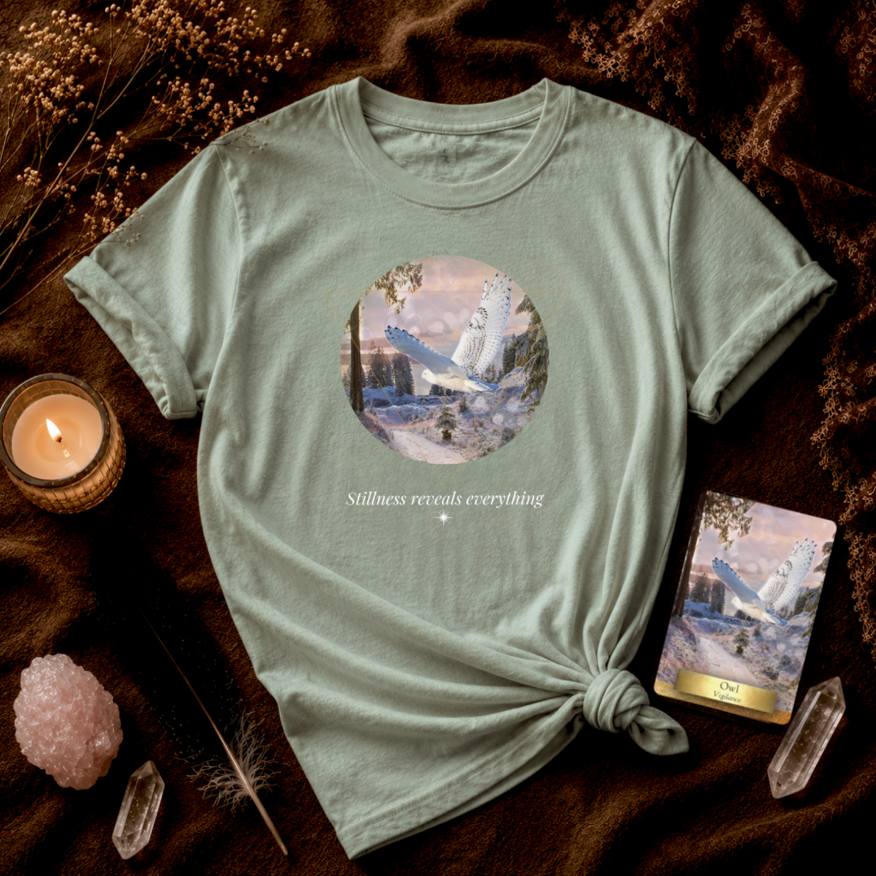 Owl: Stillness Reveals Everything