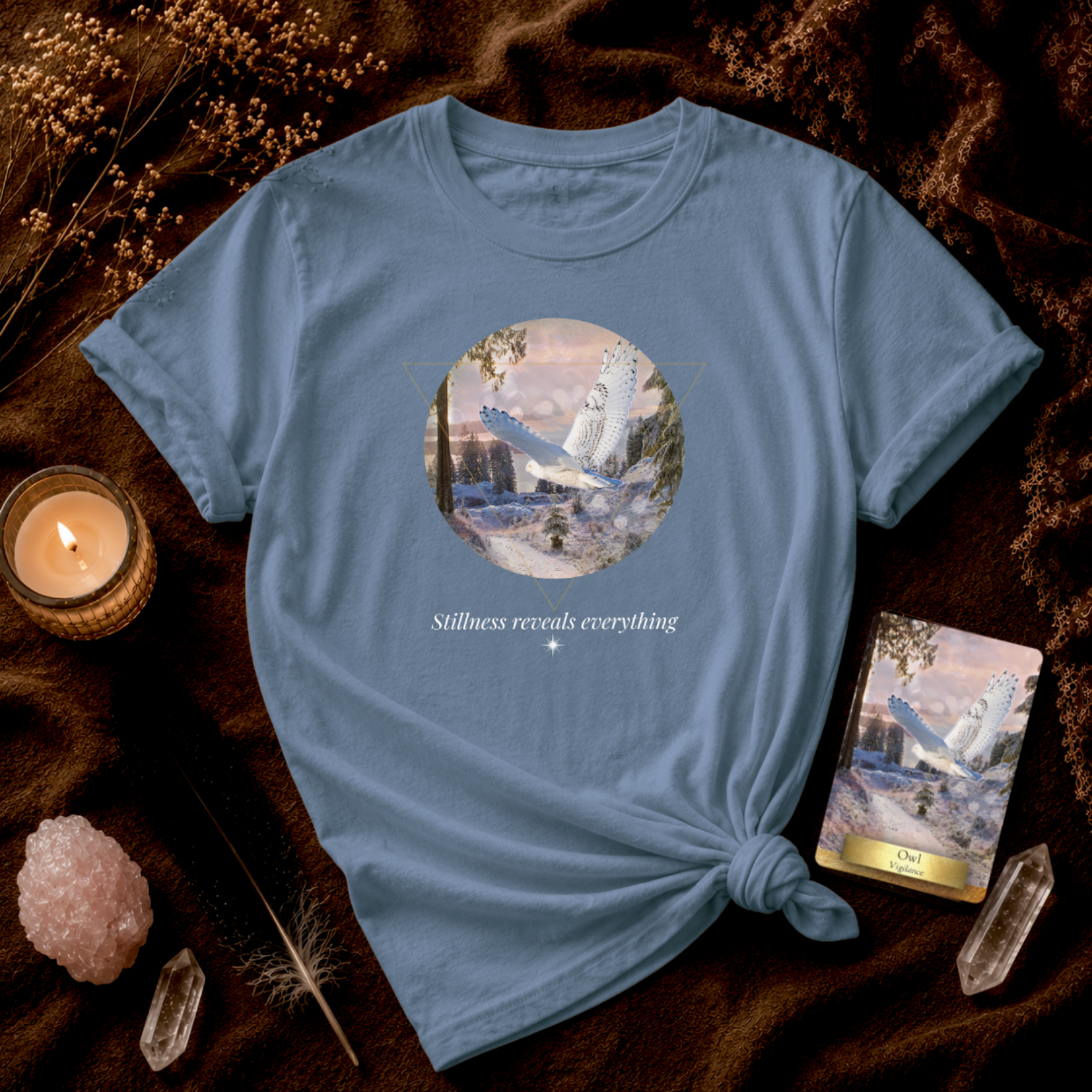 Owl: Stillness Reveals Everything