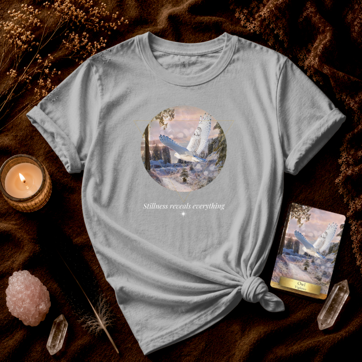 Owl: Stillness Reveals Everything
